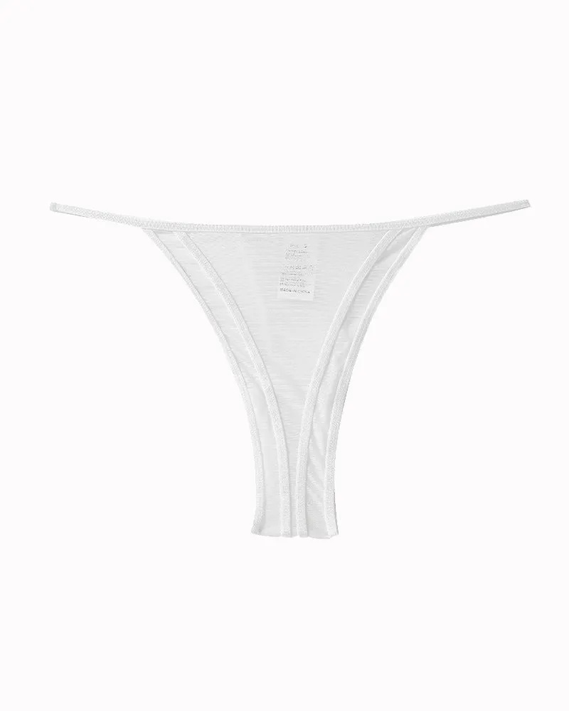 Embroidered Sheer Mesh Panties