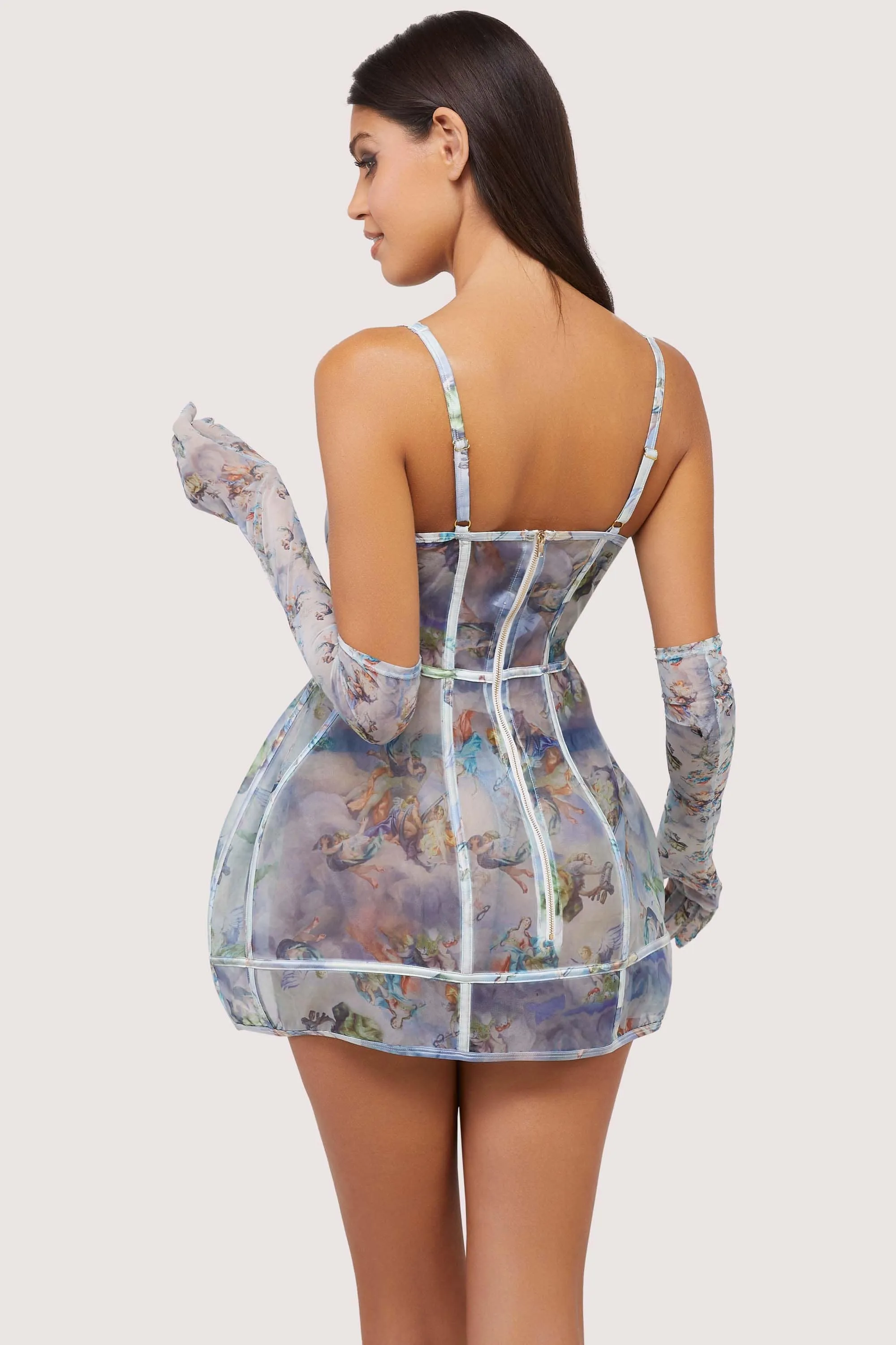 Gracie Renaissance Print Boned Underbust Mesh Mini Dress