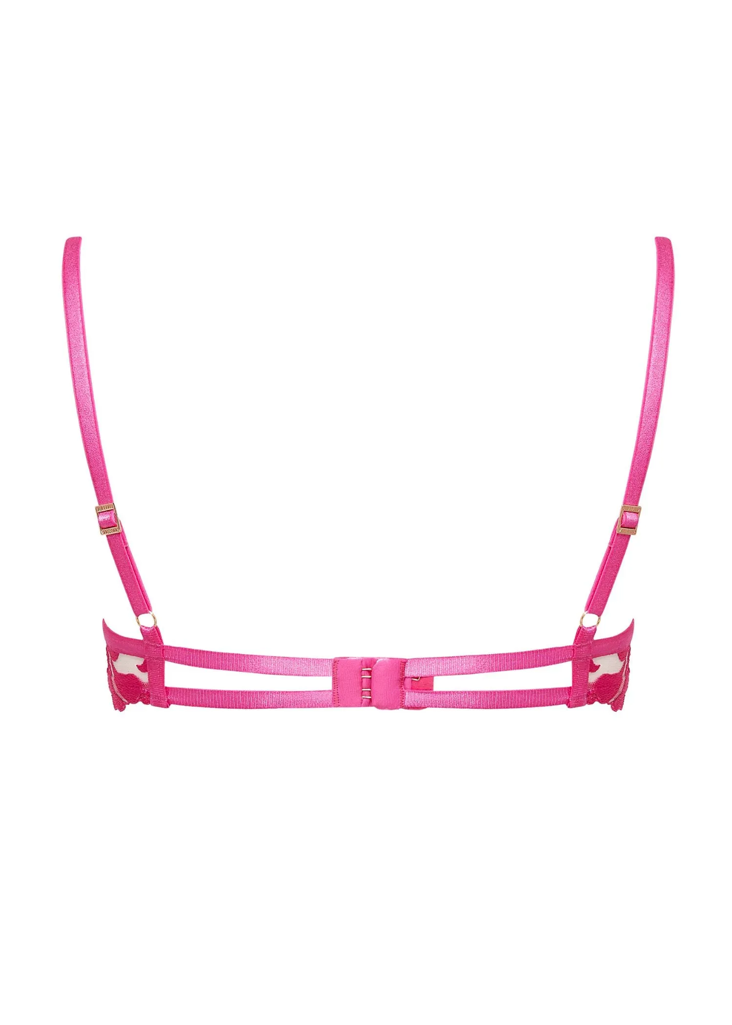 Leonora Wired Bra (Fuchsia Pink/Sheer)