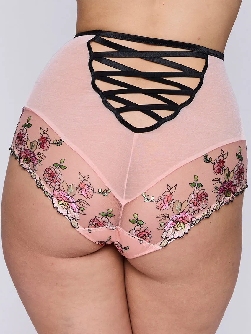 PrimaDonna Eraclea Special Brief