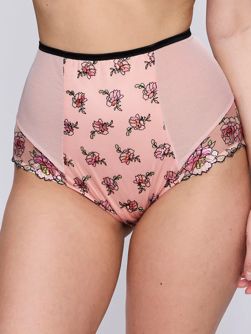 PrimaDonna Eraclea Special Brief