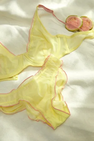 Sheer Lingerie with Plunge Bra